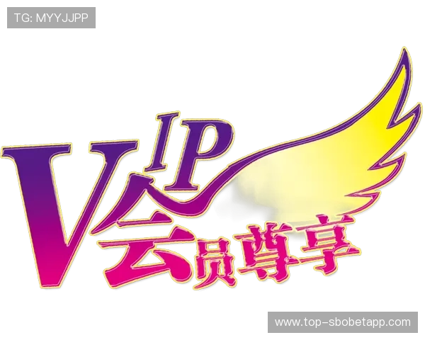 新富豪娱乐城VIP会员制度详解尊享专属特权提升您的游戏体验